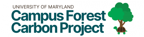 Campus Forest Carbon Project graphic