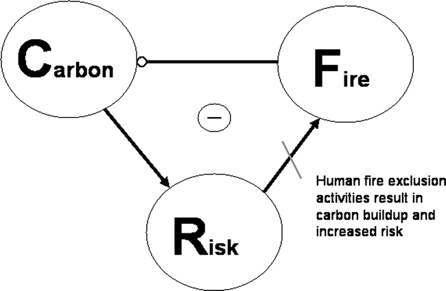 publication image
