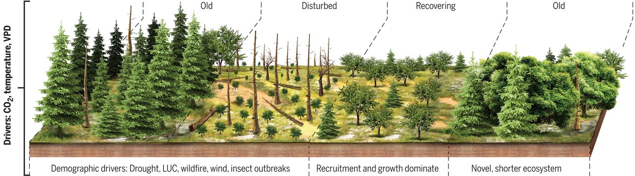 publication image